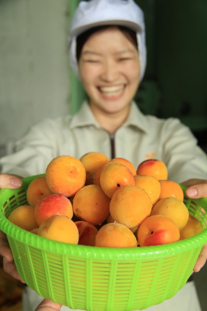 特別栽培する大粒の“完熟梅”のみ使用